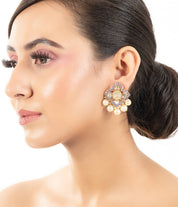 Pristine Tanzanite Earrings