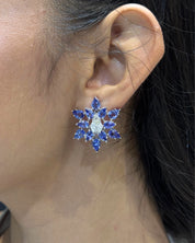 Tanzanite Star Earrings | AMARIS JEWELS | Fine Jewelry 