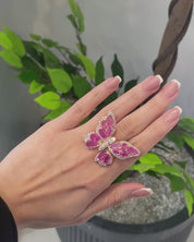 Meant To Fly 2.0 Ruby