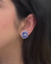 Calliope Minis (Tanzanite)
