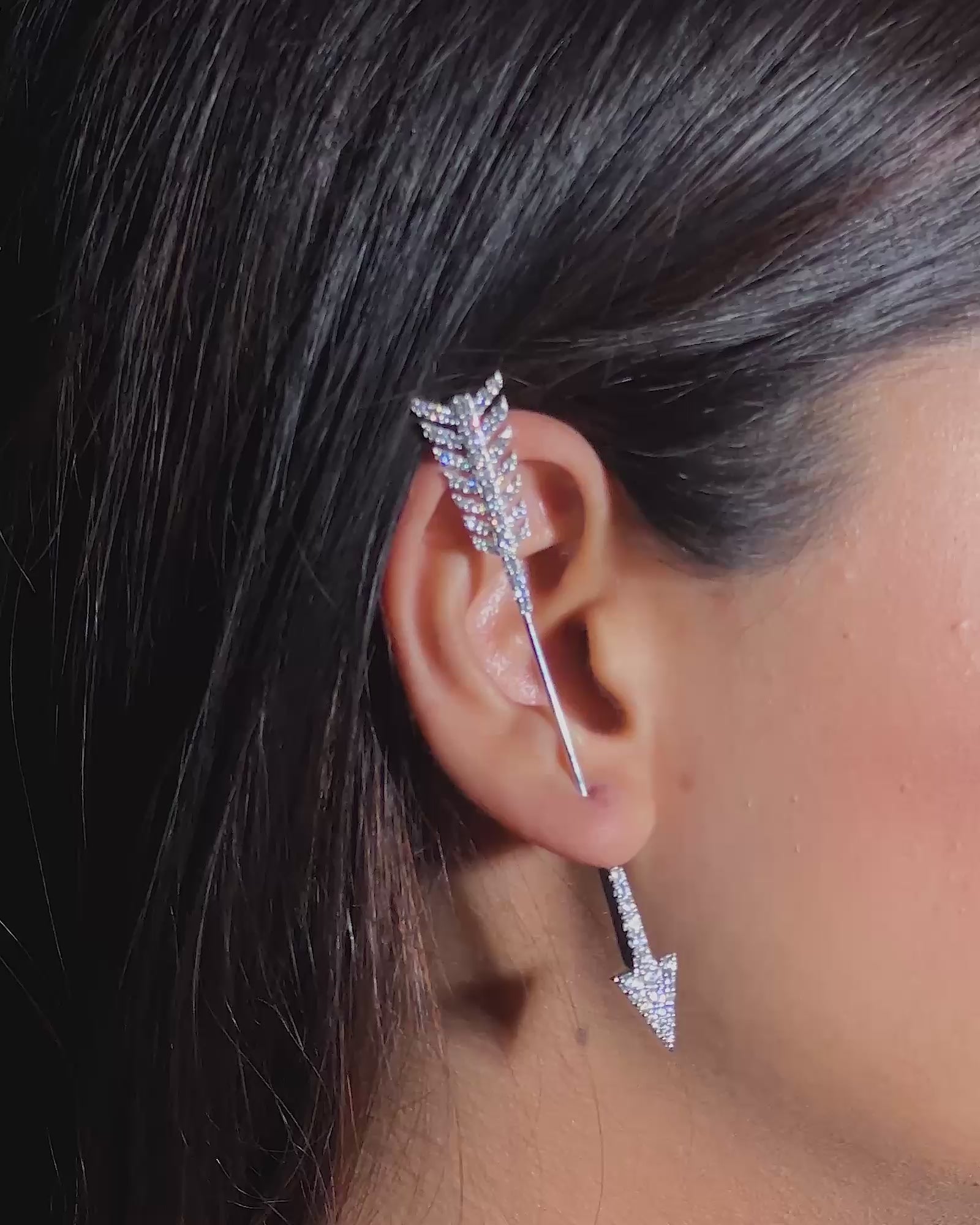 Straight Shooter Ear Bars